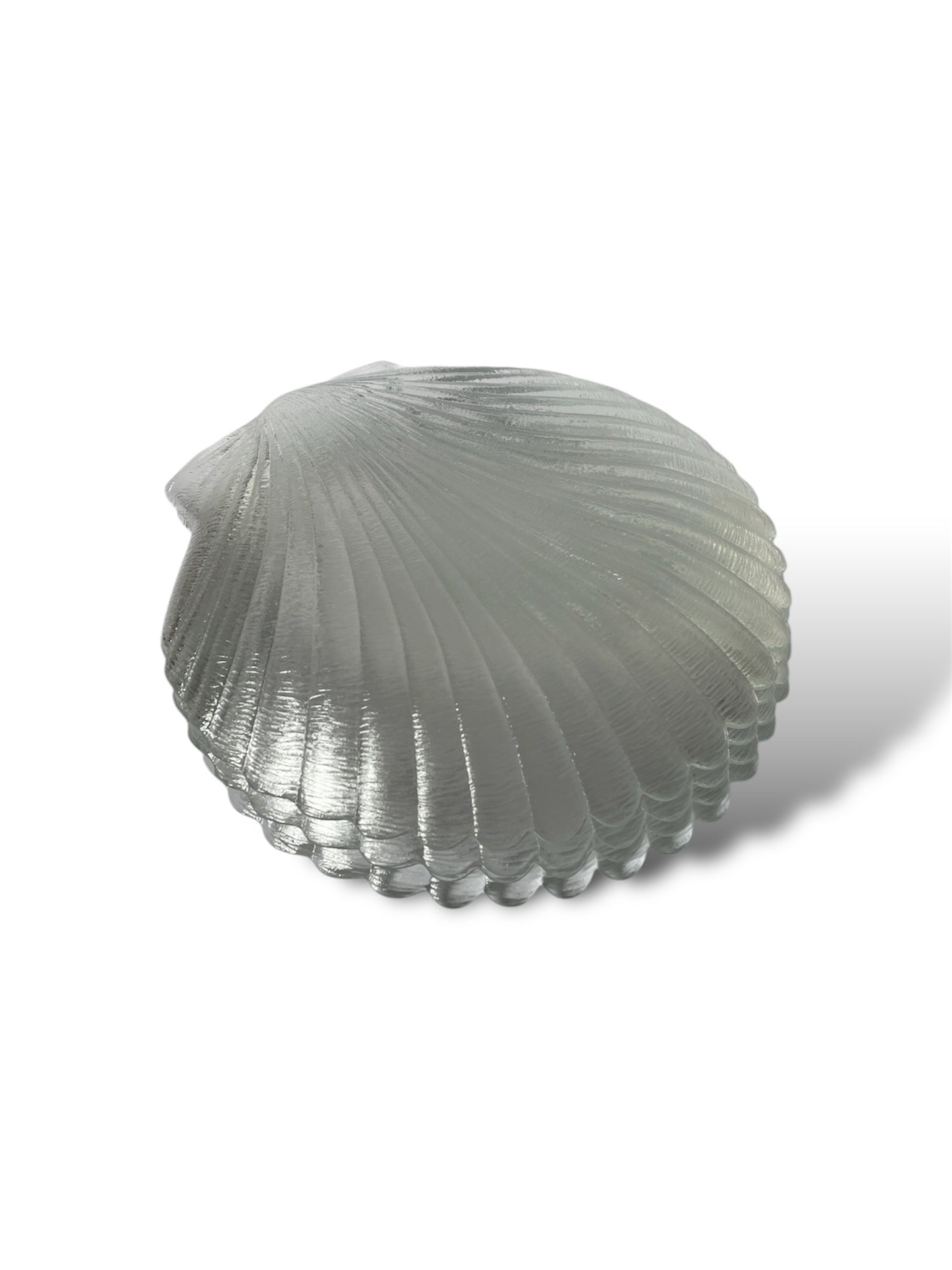 4 assiettes à dessert coquillage en verre