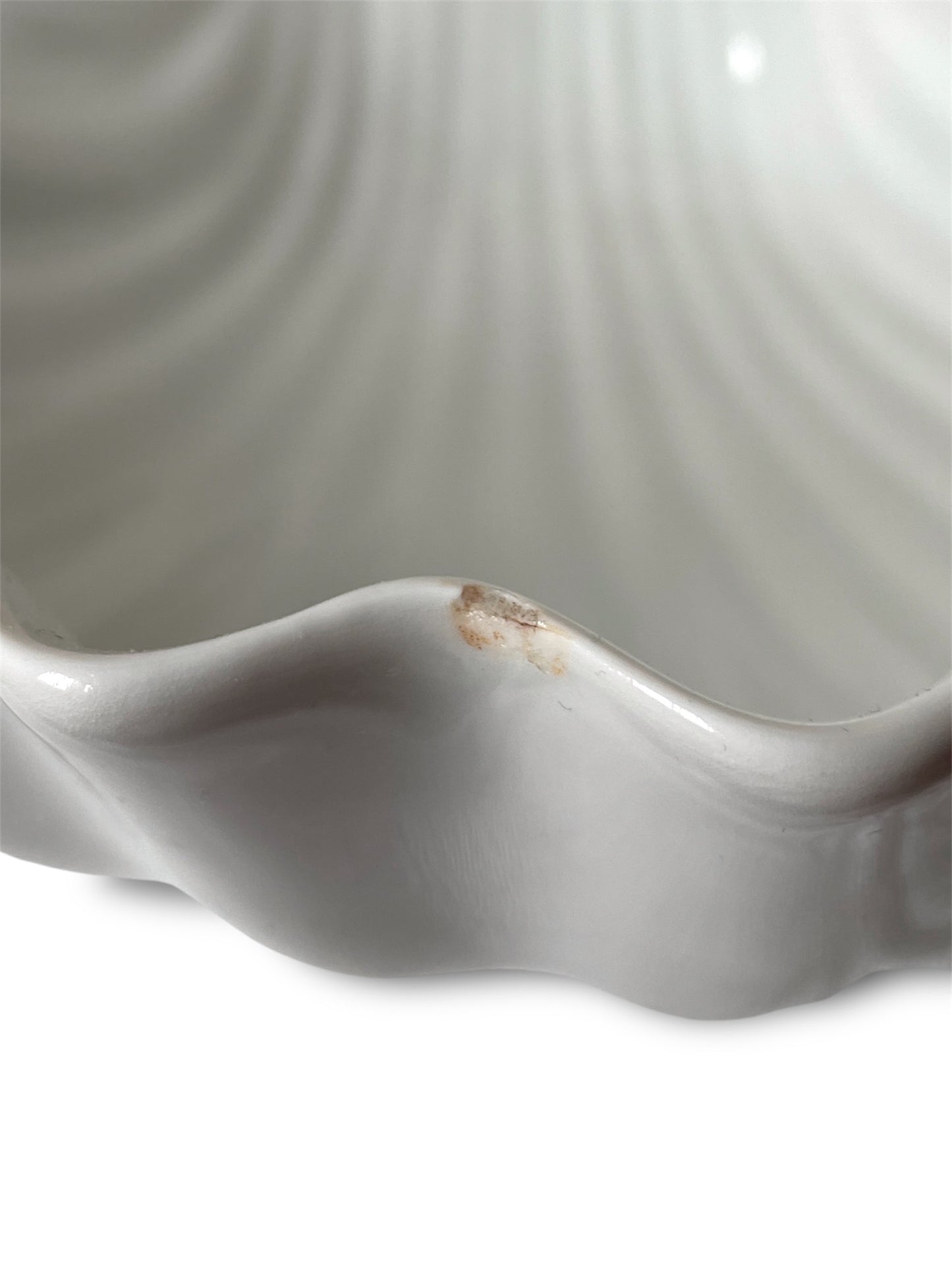 Saladier coquillage blanc